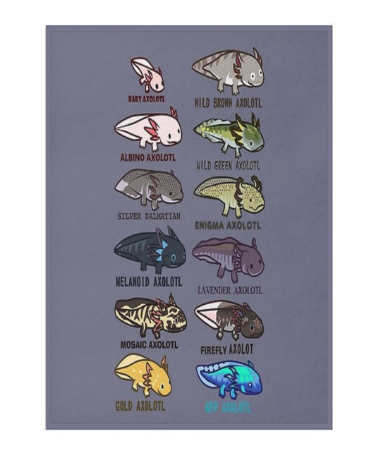 Axolotl illustration blanket with various axolotl designs and labels on a gray background.