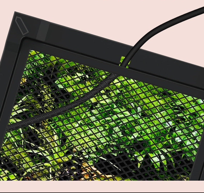 Glass Terrarium