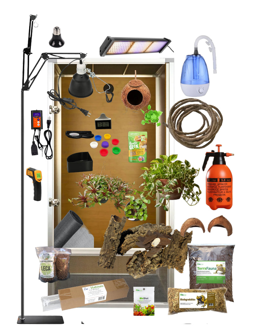 The Complete Deluxe Bioactive New Caledonian Gecko Habitat Bundle