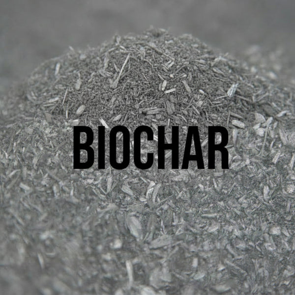 Activated Biochar (Microbial Engine & Bioactive Substrate Amendment)