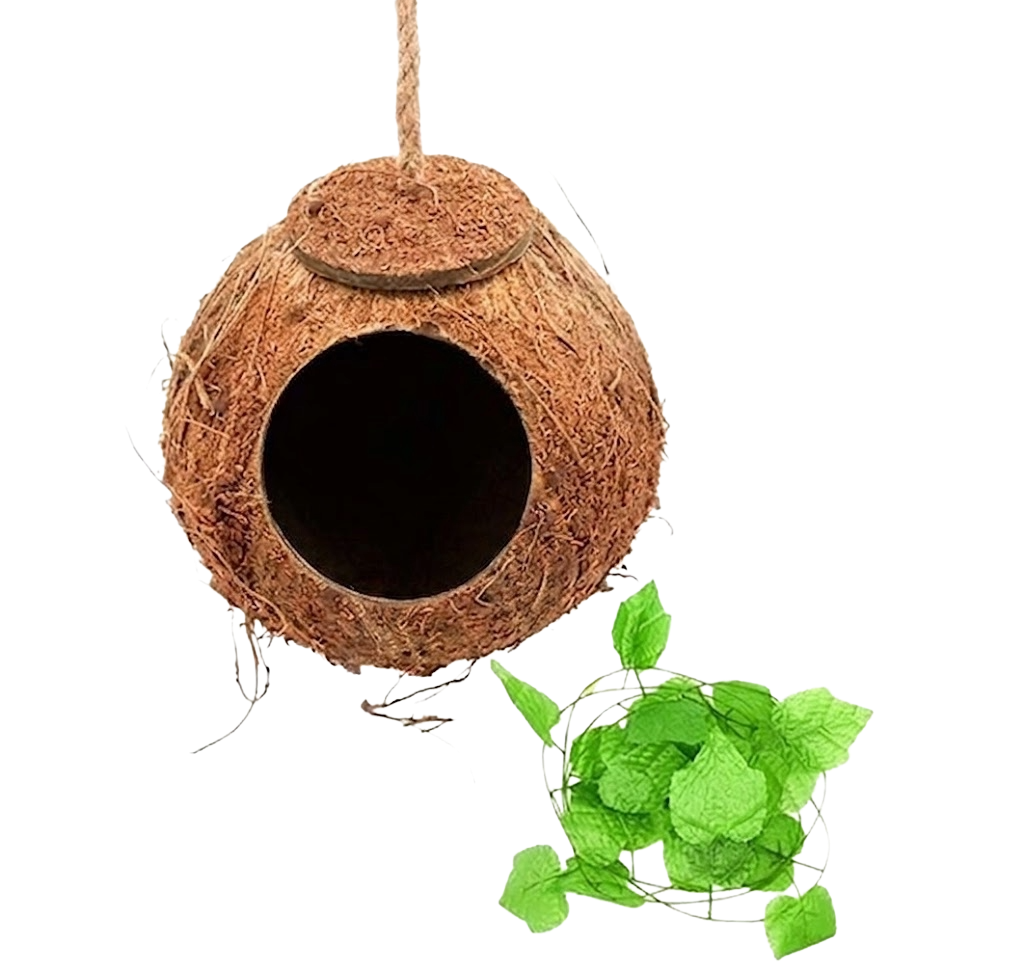 The Complete Deluxe Bioactive New Caledonian Gecko Habitat Bundle