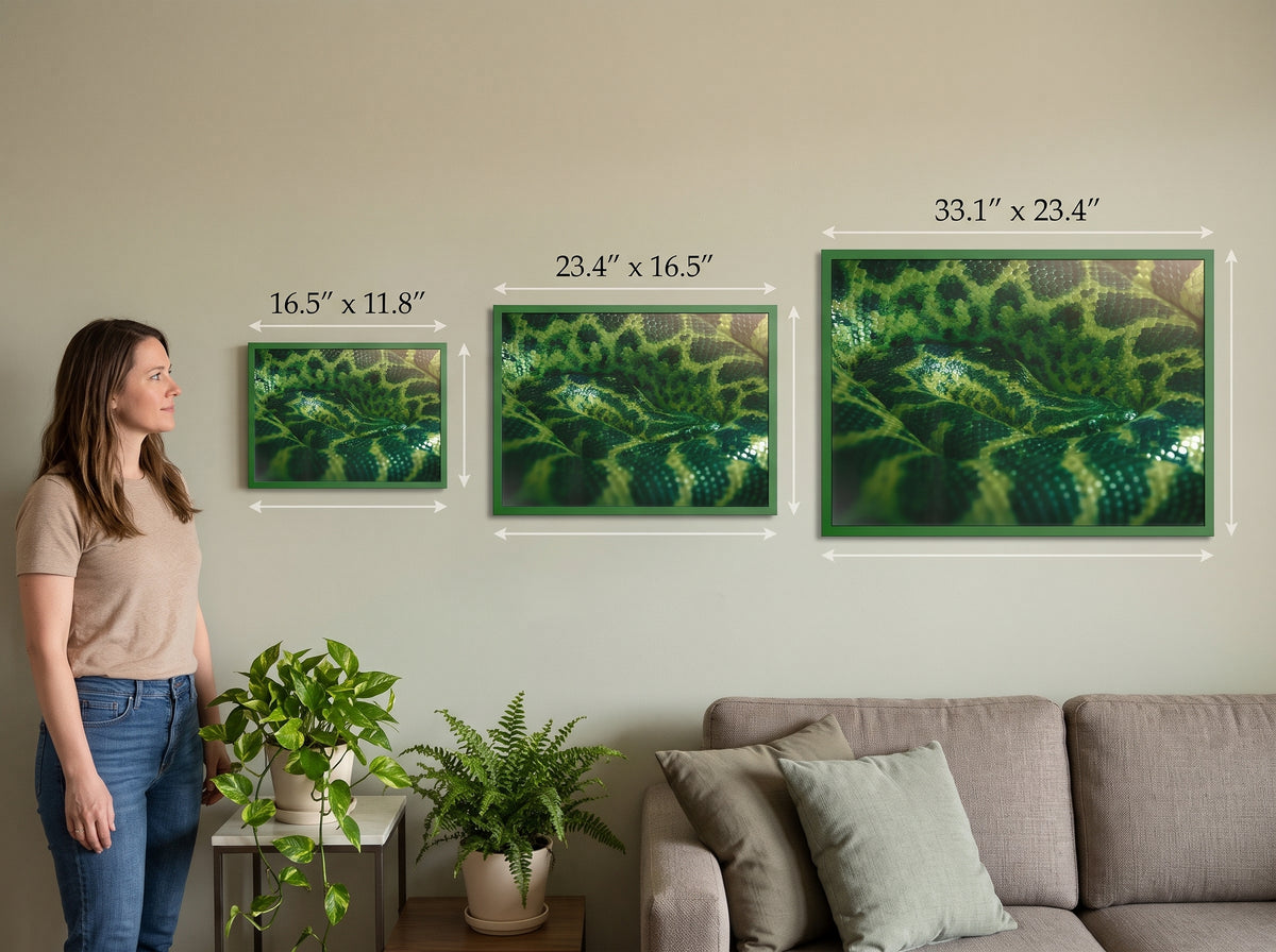 "Emerald Coils" Framed Fine Art Print