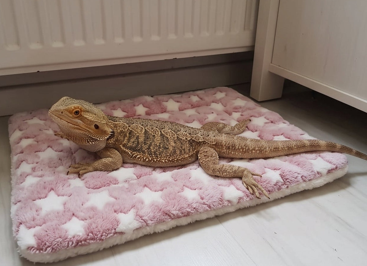 Fleece Lounger Bed & Cuddle Blanket
