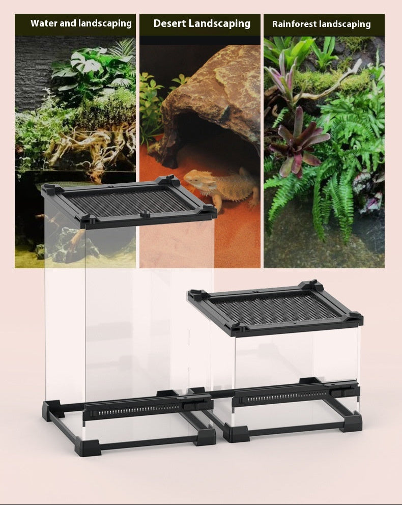 Glass Terrarium