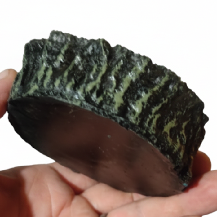 Small Rock & Forest Reptile Feeding Dishes