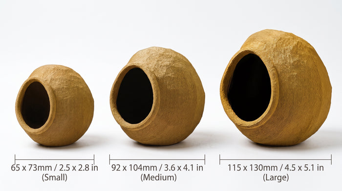 Arboreal Canopy Egg Hide & Elevated Nest