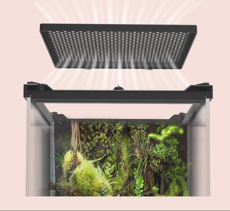 Glass Terrarium
