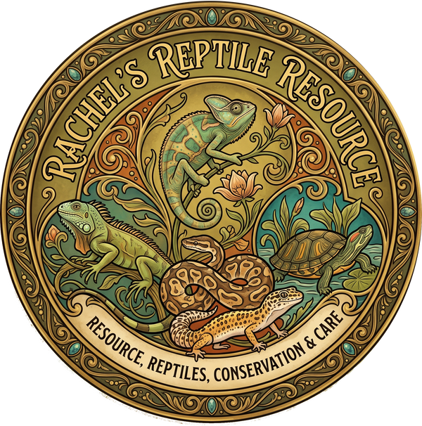 Rachel's Reptile Resource