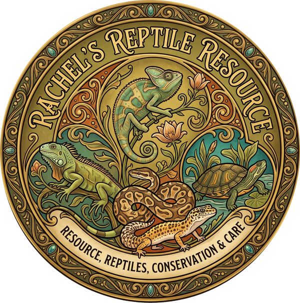 Rachel's Reptile Resource
