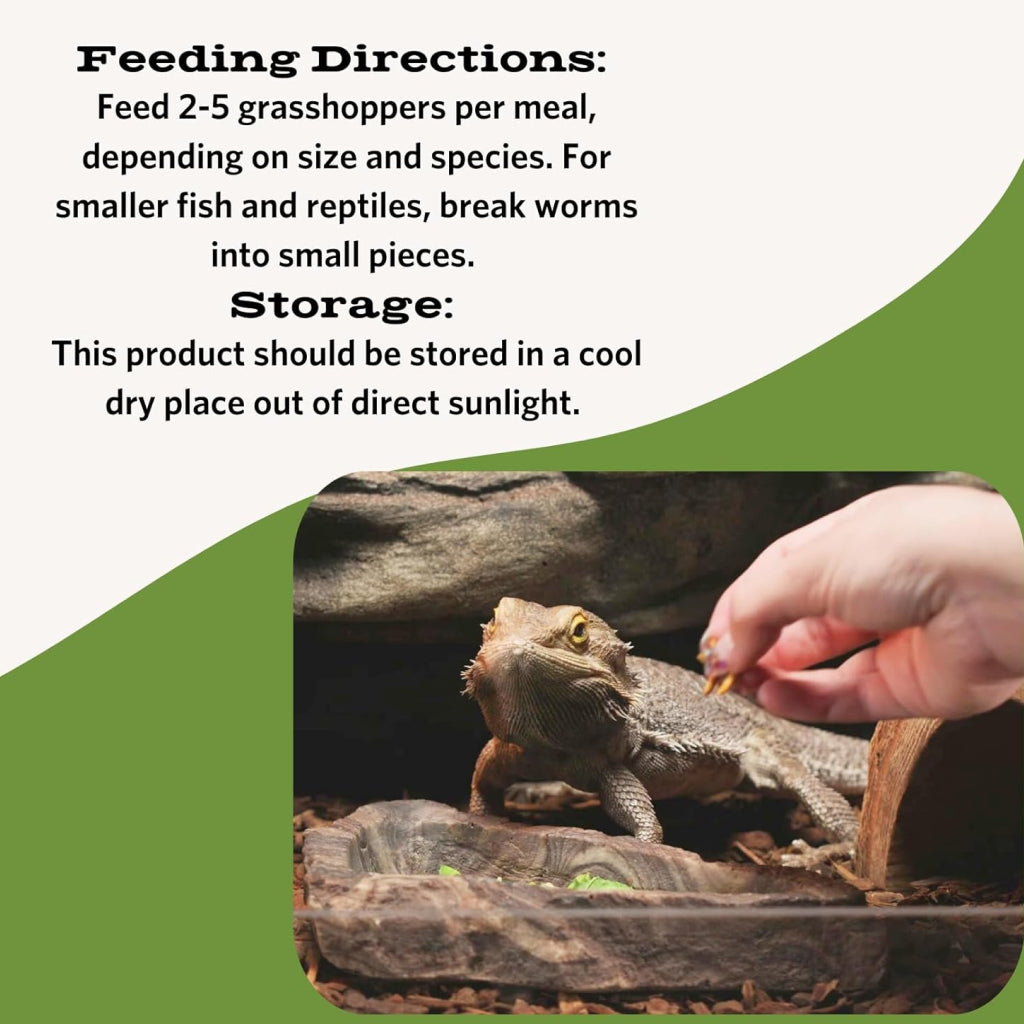 Fluker's Freeze-Dried Grasshoppers