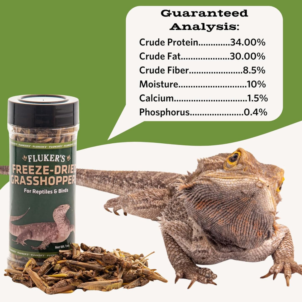 Fluker's Freeze-Dried Grasshoppers