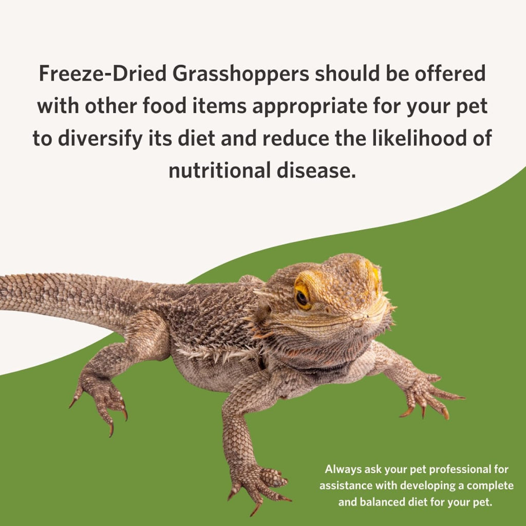 Fluker's Freeze-Dried Grasshoppers