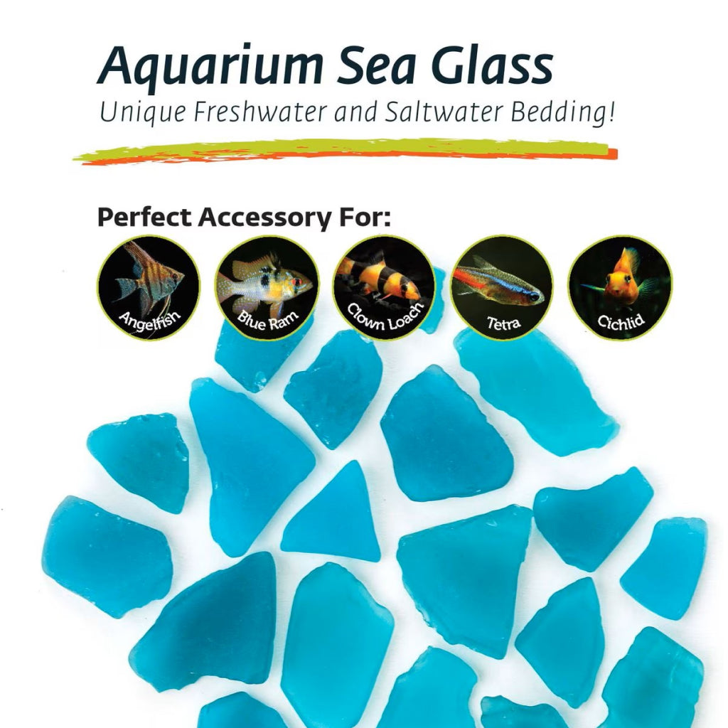 Galapagos Aquarium Sea Glass (4 lbs)