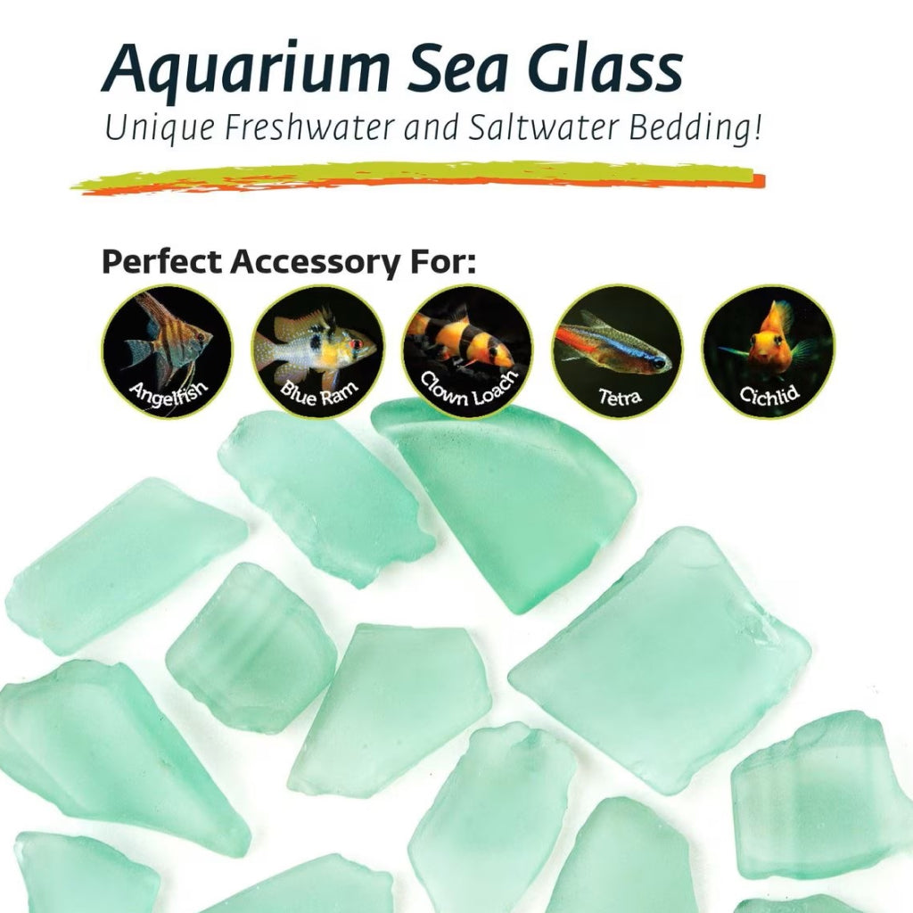 Galapagos Aquarium Sea Glass (4 lbs)
