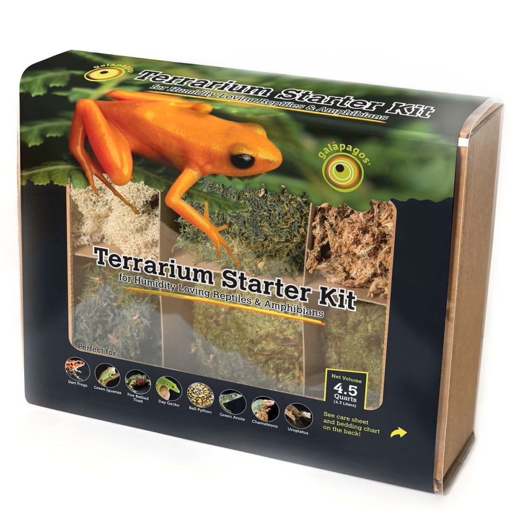 Galapagos Humid Terrarium Starter Kit