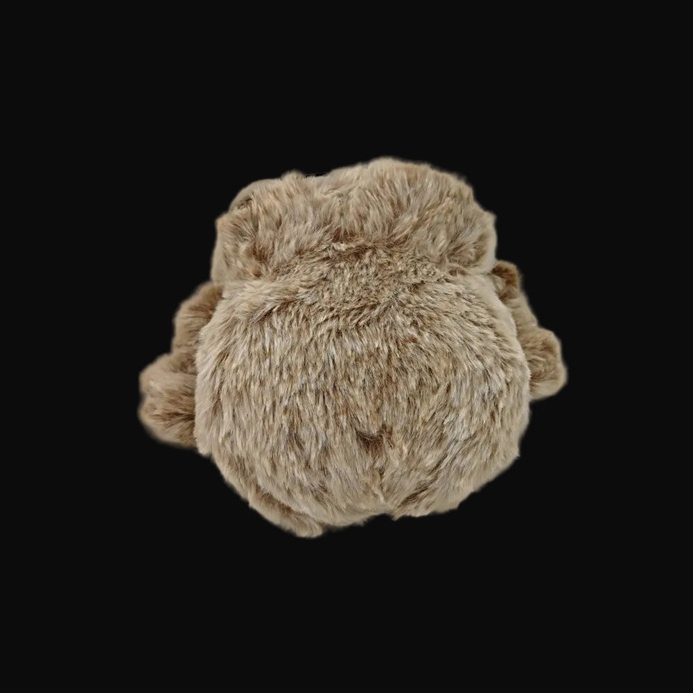 Jumping Spider Plush
