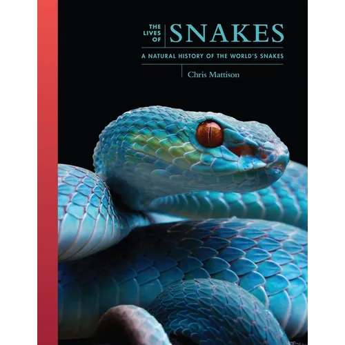 The Lives of Snakes: A Natural History of the World's Snakes By Chris Mattison