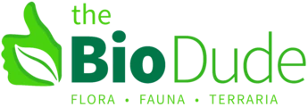 BioDude