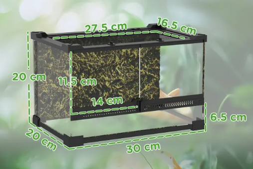 10L (2.6 Gallon) Glass Vivarium with Rock Background