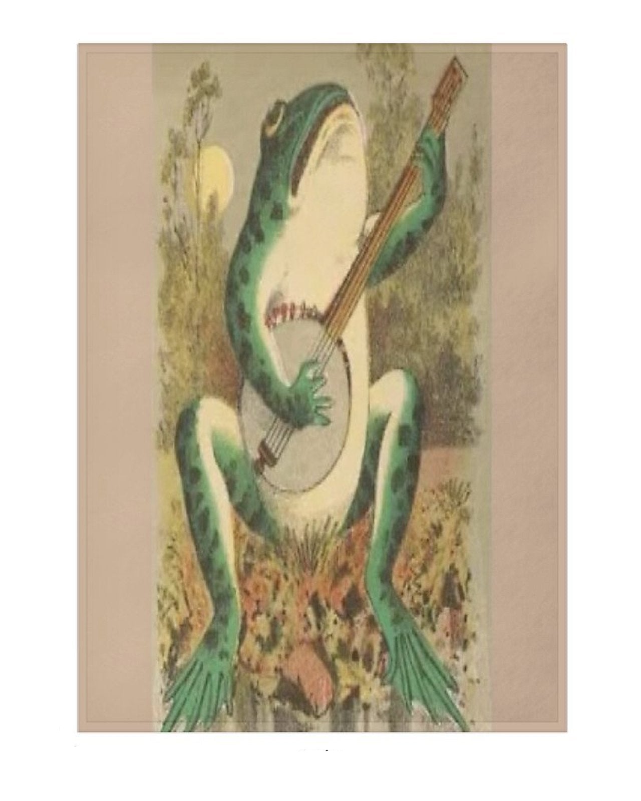blanket featuring a frog playing a banjo