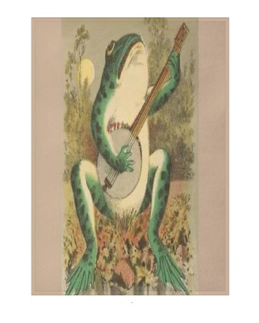 blanket featuring a frog playing a banjo
