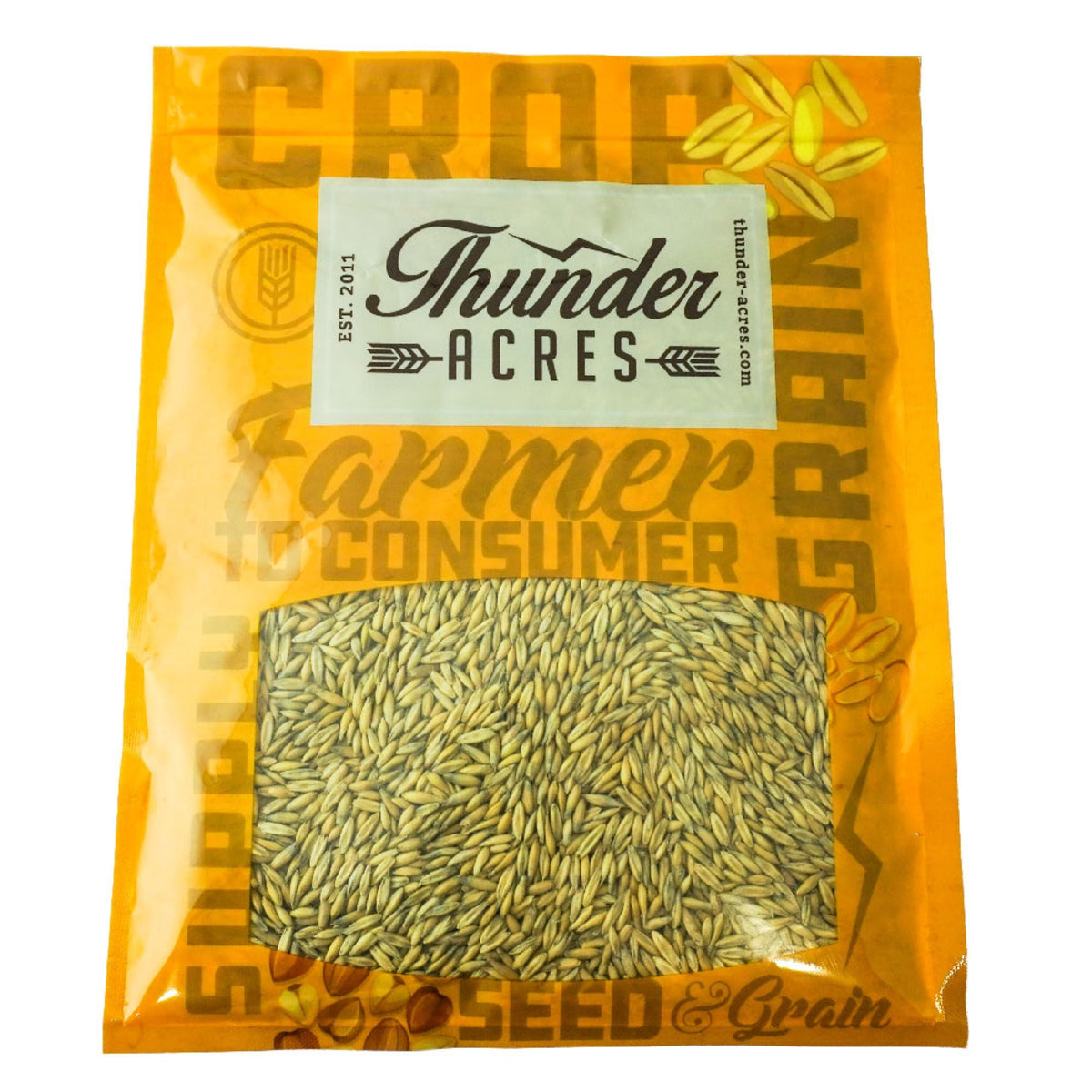 Organic Oat Grass Seed (Avena sativa)