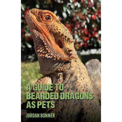 Guide to Bearded Dragons as Pets By Jordan Bonner