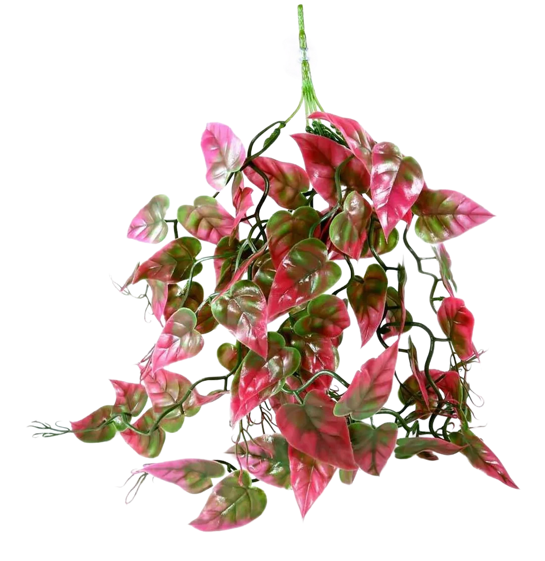 The Complete Juvenile Sterile/Naturalistic Arboreal Gecko Kit