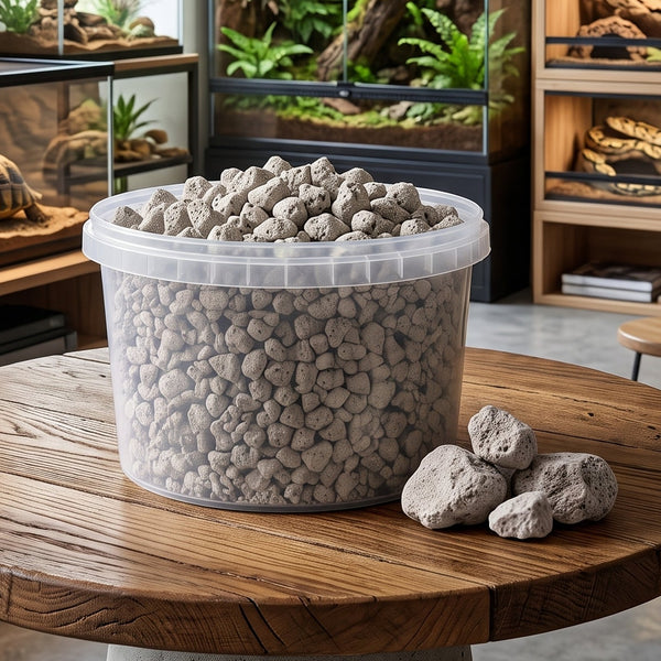 A large clear plastic tub filled with light gray gravel or stone chips sits on a round wooden table in a well-lit indoor reptile or terrarium showroom. Several matching stones are placed beside the tub, and the background shows multiple glass enclosures, shelves, plants, and lighting equipment.