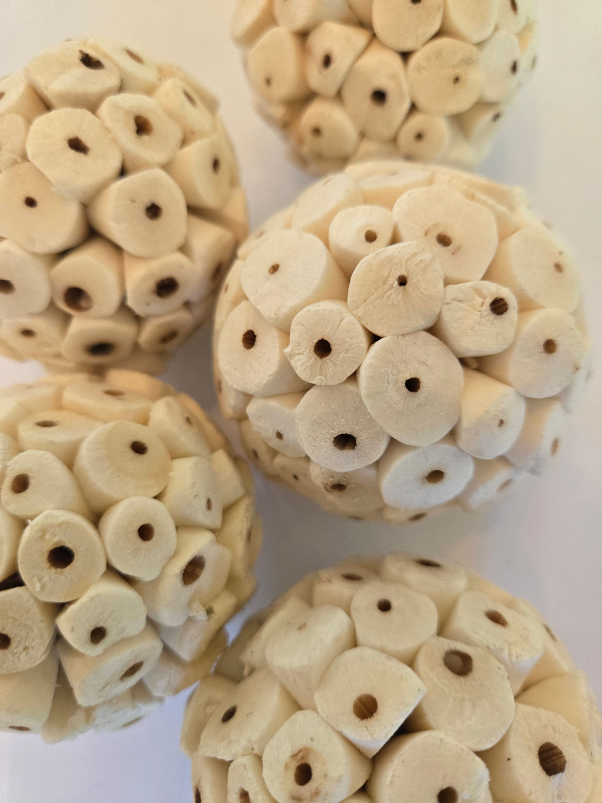 Natural Dried Sola Atta Balls (Aeschynomene aspera)