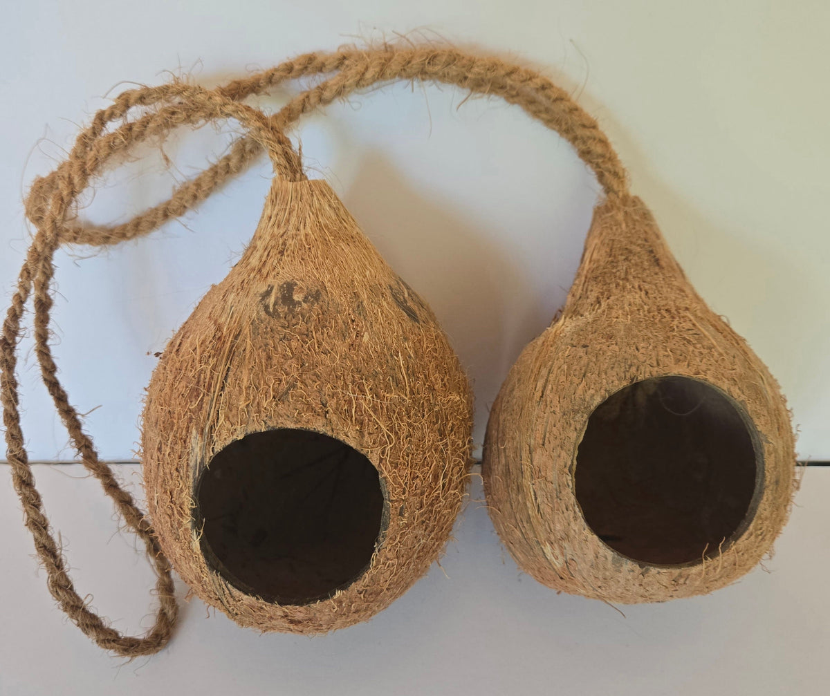 Natural Hanging Coconut Shell Hideout & Nest (Cocos nucifera)
