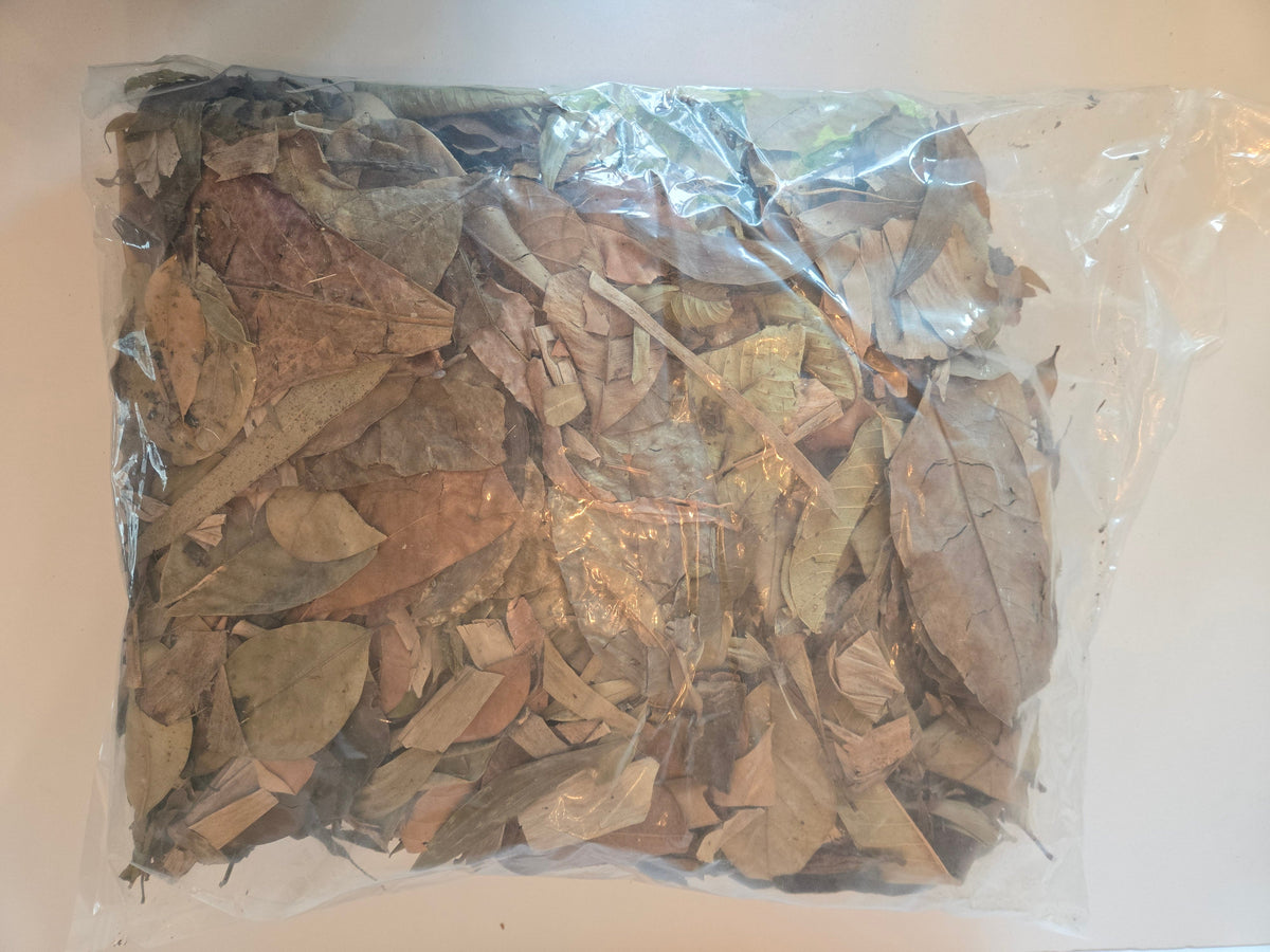 Premium Assorted Leaf Litter - Tropical Blend (1 lb Bulk Bag)