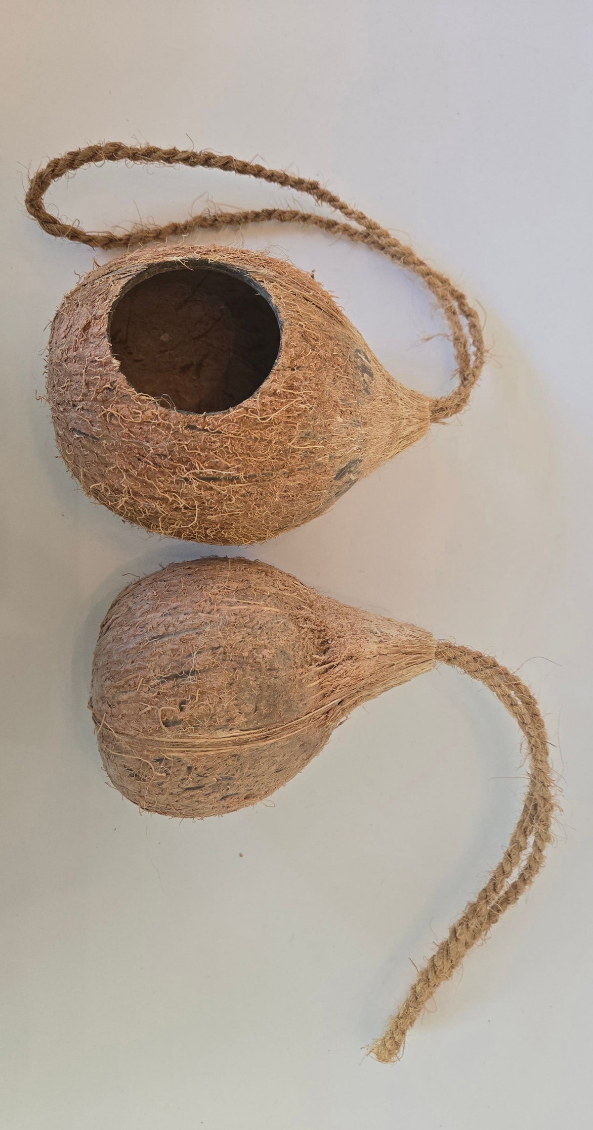 Natural Hanging Coconut Shell Hideout & Nest (Cocos nucifera)