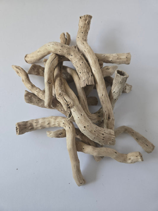 Natural Dried Cabbage Roots / Gobi Tails (Brassica oleracea)