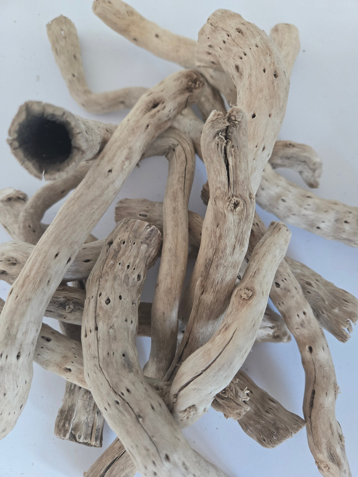 Natural Dried Cabbage Roots / Gobi Tails (Brassica oleracea)