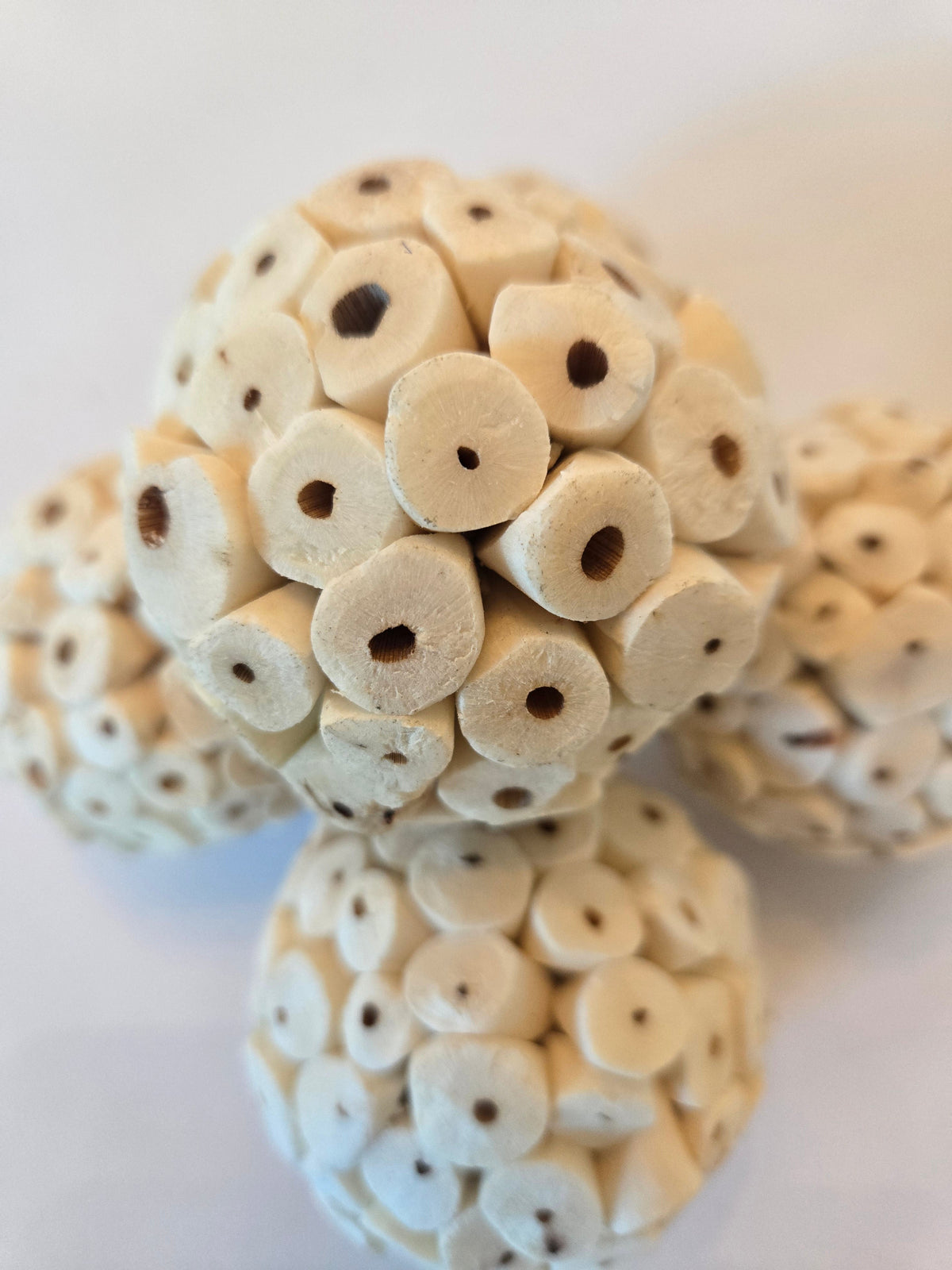 Natural Dried Sola Atta Balls (Aeschynomene aspera)