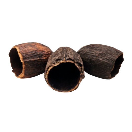Natural Dried Cacao Pod Halves (Theobroma cacao)