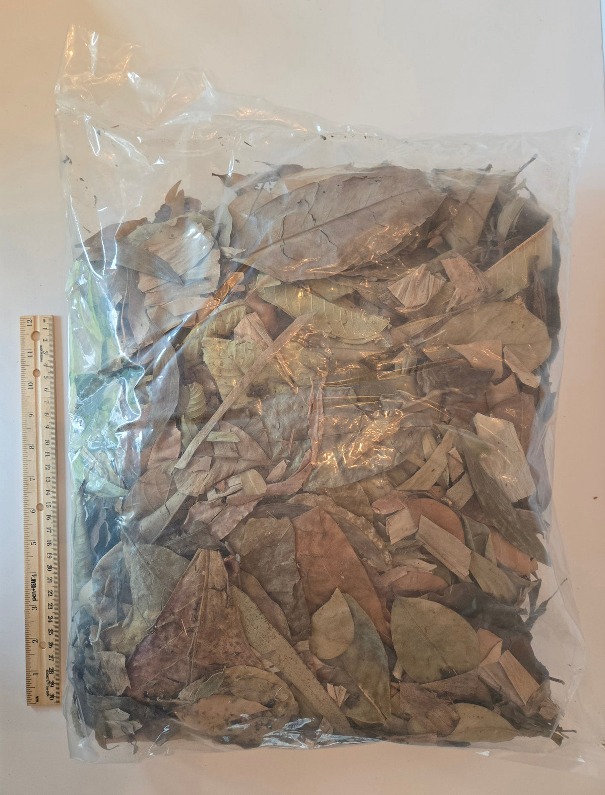 Premium Assorted Leaf Litter - Tropical Blend (1 lb Bulk Bag)