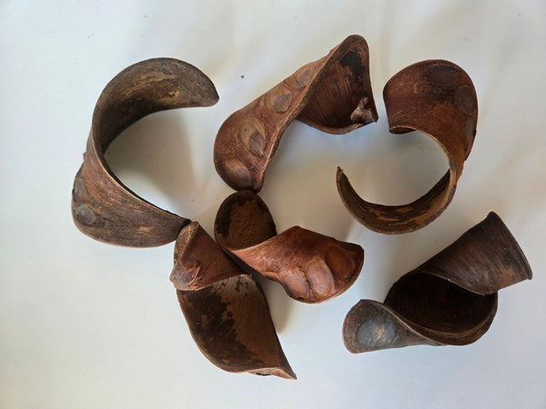 Natural Dried Elephant Ear Pods (Isoberlinia angolensis)