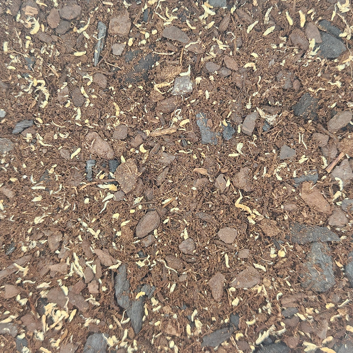Authentic ABG Tropical Vivarium Substrate - 1 Gallon