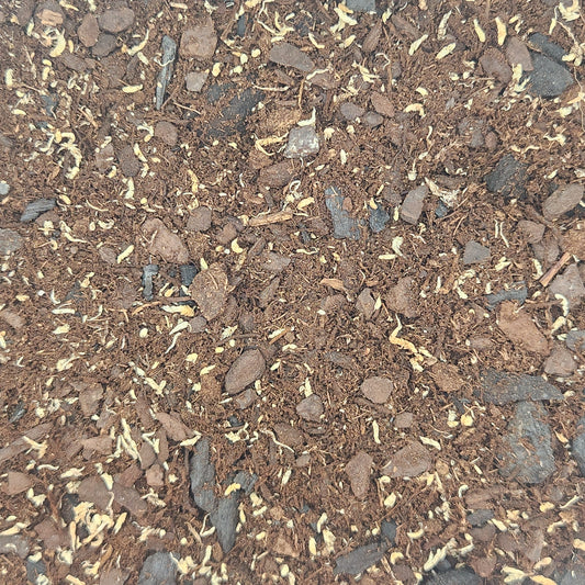 Authentic ABG Tropical Vivarium Substrate - 1 Gallon
