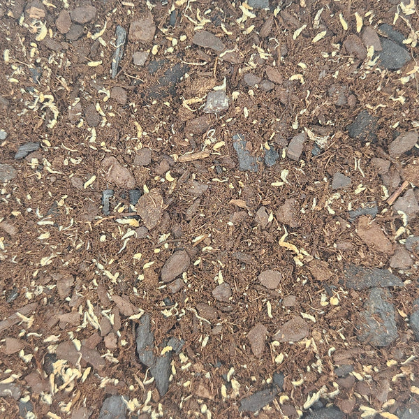 Authentic ABG Tropical Vivarium Substrate - 1 Gallon