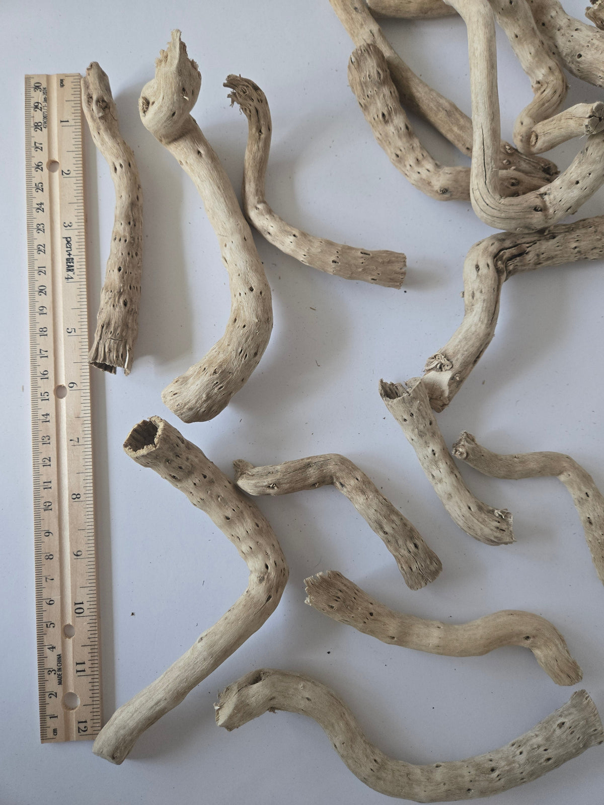 Natural Dried Cabbage Roots / Gobi Tails (Brassica oleracea)