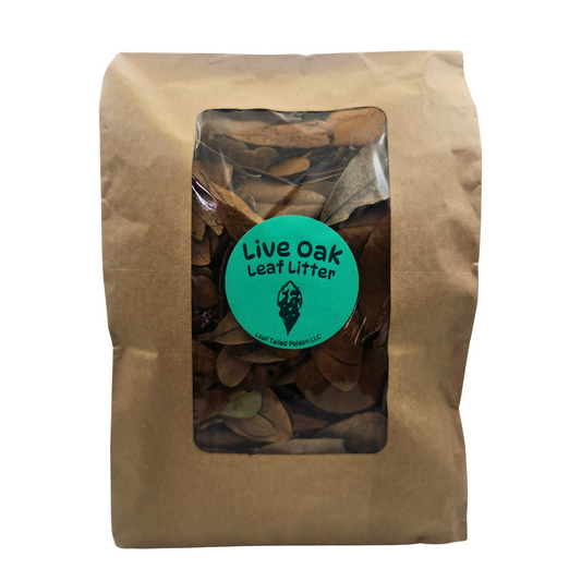 Live Oak Leaf Litter (Quercus virginiana) 1 oz Bag