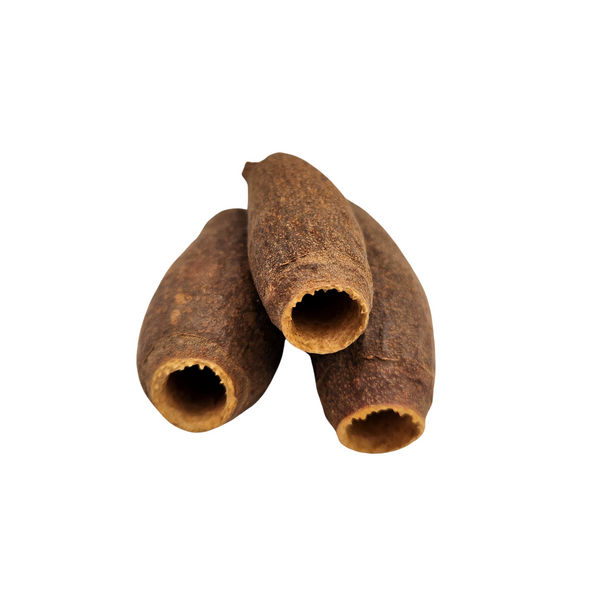 Natural Dried Trumpet Pods (Tabebuia spp.)