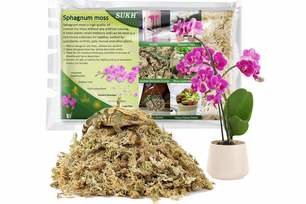 Sphagnum Moss