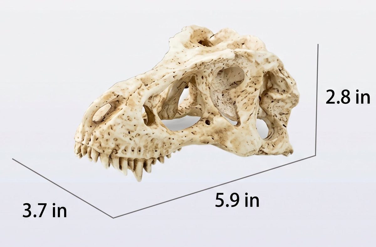 T. Rex Fossil Skull Hide