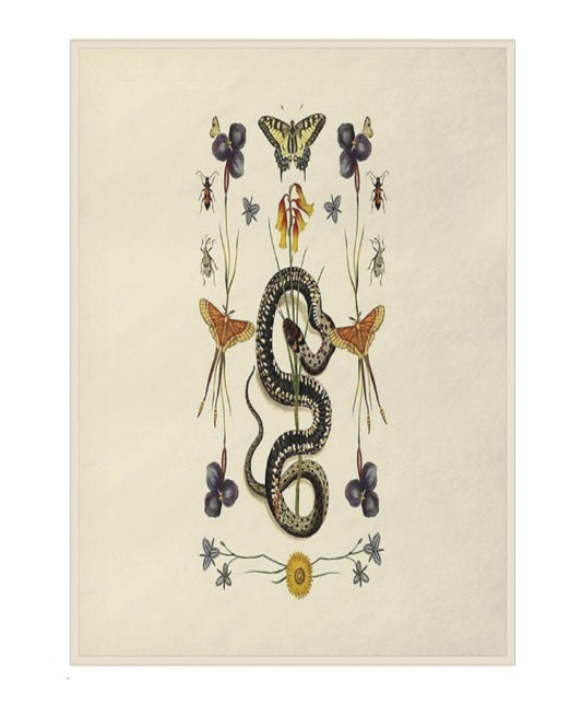 Snake & Botanical Wildflower Throw
