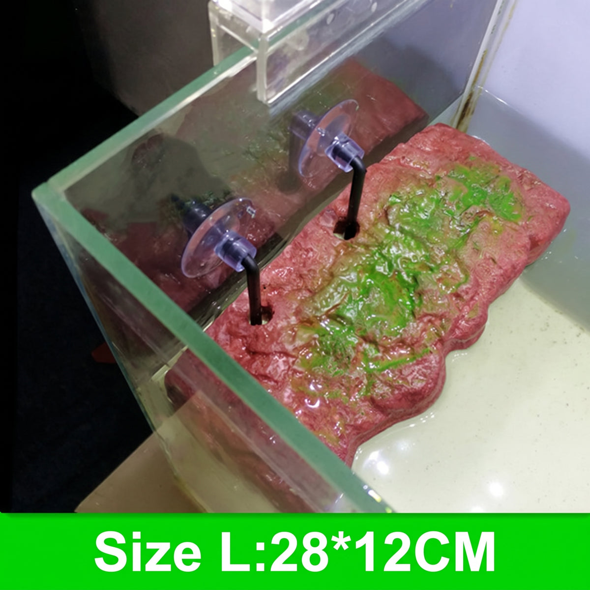 Self-Adjusting Floating Turtle Basking Dock
