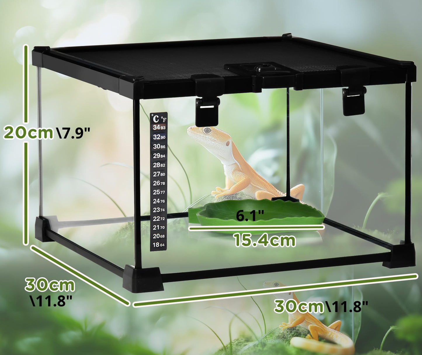 18L (4.8 Gallon) Glass Terrarium Kit with Accessories